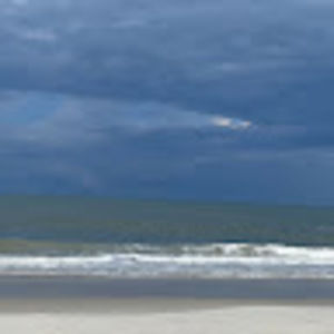 Meet your Posher, Frannie